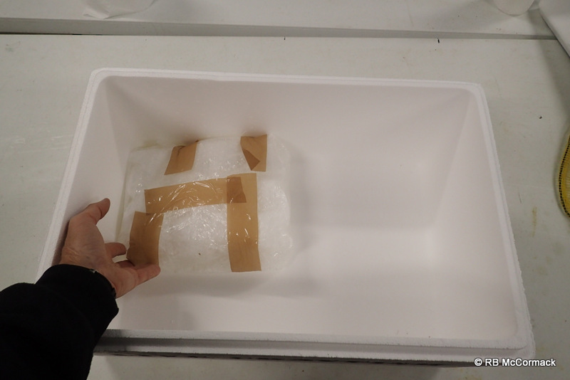 Wrapped gel sheets placed in foam box